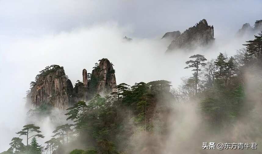 正本清源：国家唯一认定的十大名山有哪些？是否产茶？第5-第1名