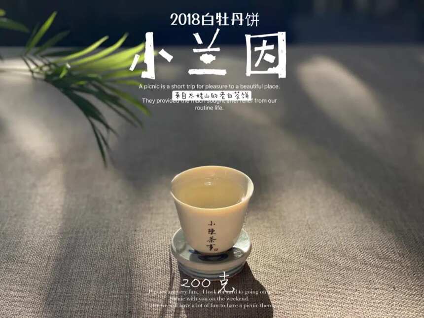 烫坏茶叶、破坏营养、引起酸味，这些砸在沸水头上的锅，该平反了