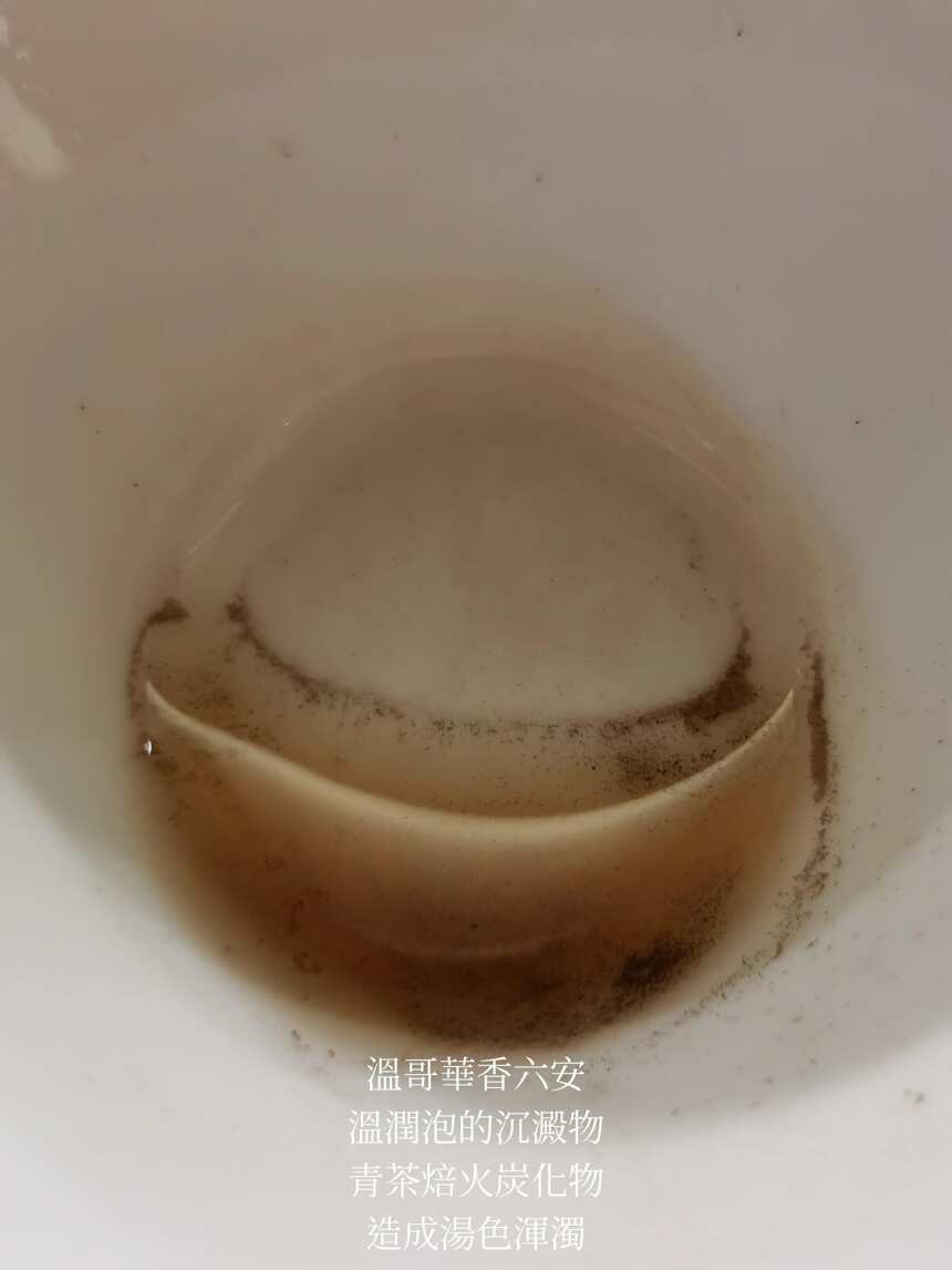 茶品鉴：温哥华回流香六安