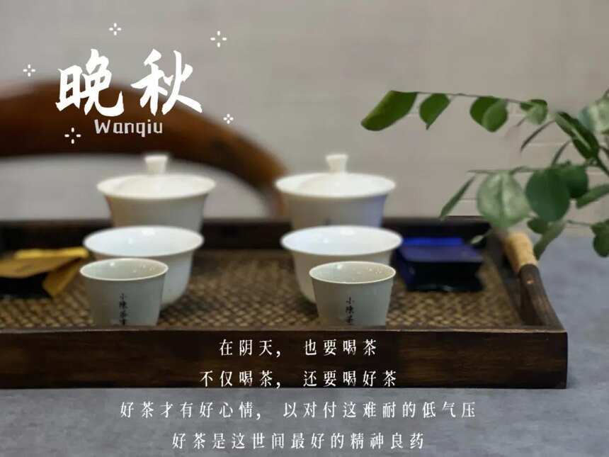 不懂茶的人要卖茶，这路可行吗？小心沦为茶农“变废为宝”的工具