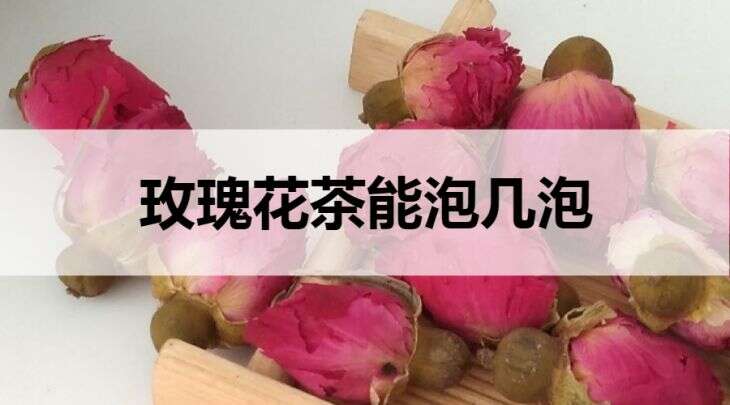 玫瑰花茶能泡几泡?