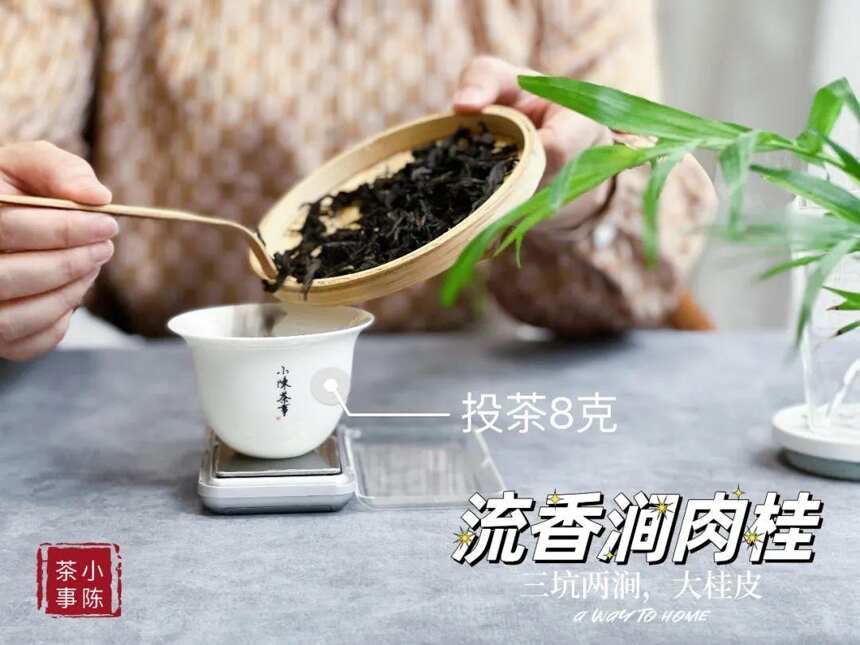 冬天到了，记得多喝“3种茶”，喝完全身暖和，舒舒服服过冬天