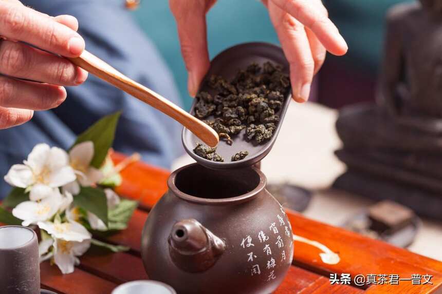 为什么我坚决不喝乌龙茶了呢？加了香精吗。不，有种原因我不喝