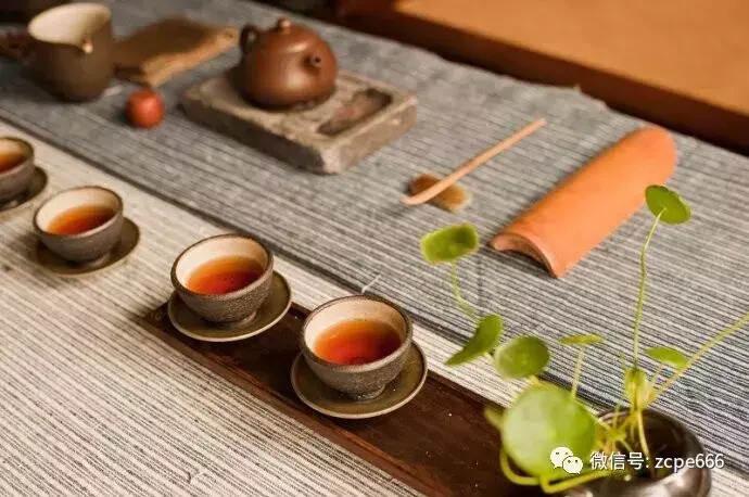 天入三伏，喝茶有道