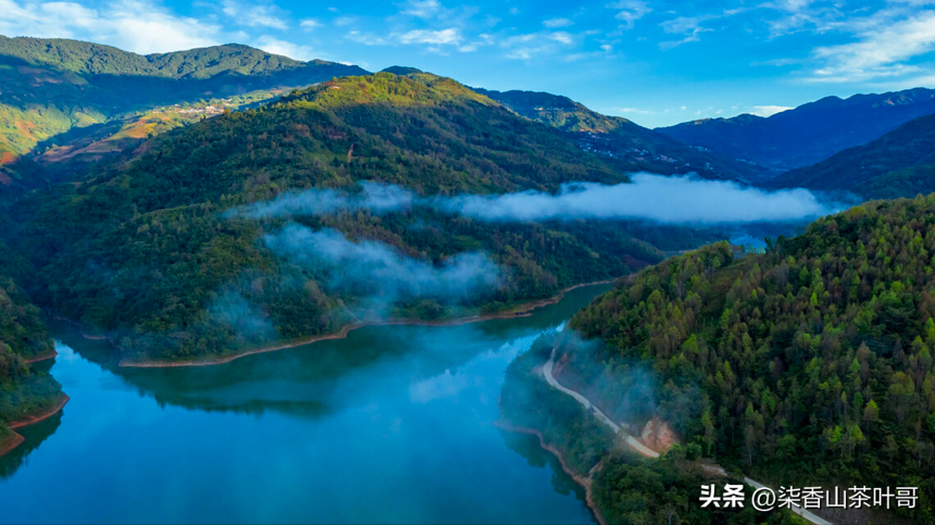 双江能成为临沧茶区的核心，与它丰富的茶叶资源紧密相关