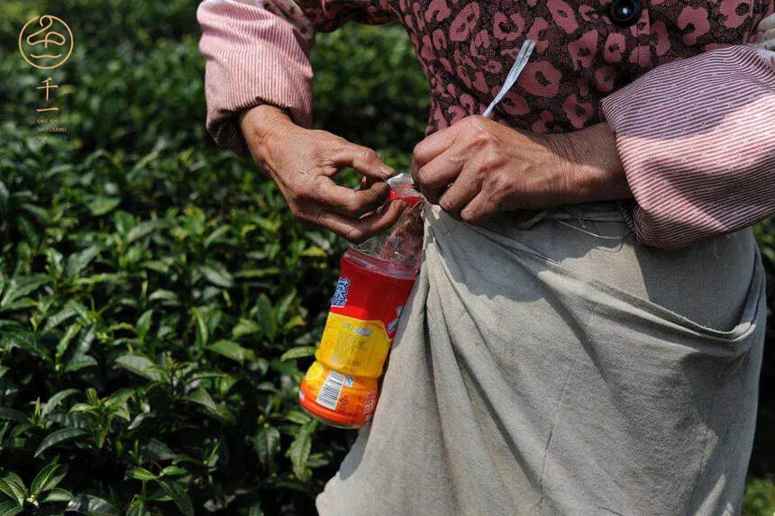 五月茶山：山路的尽头，尽显人情的温度