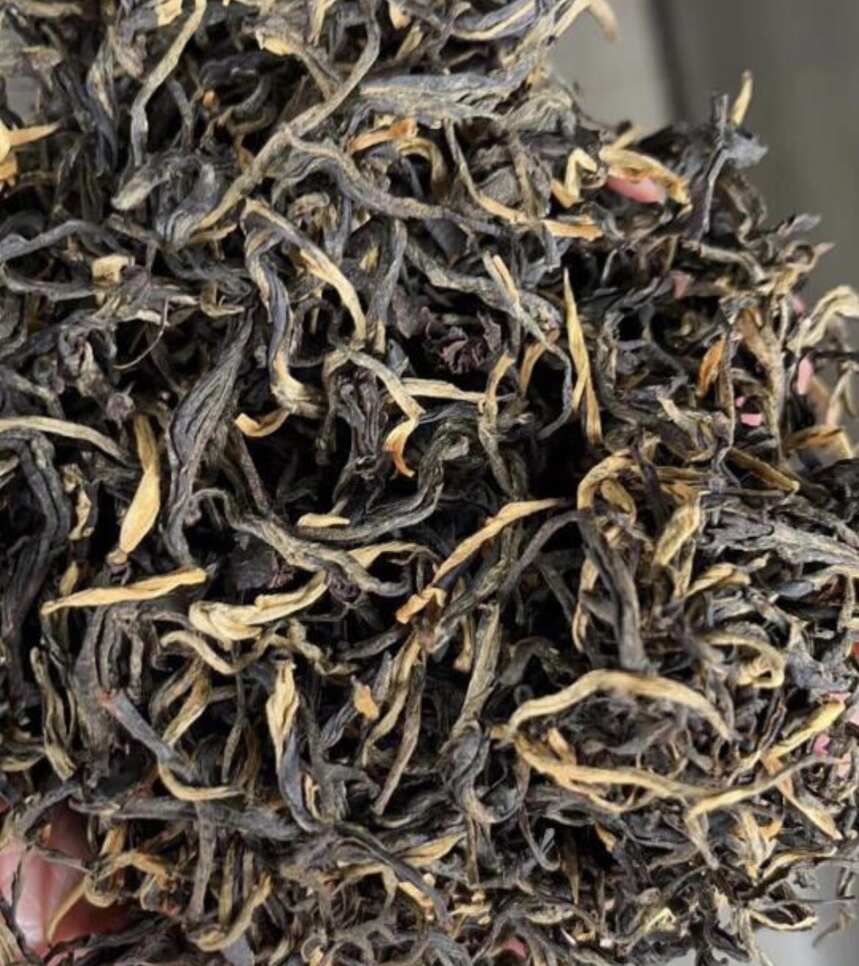 凤凰单丛不再受宠，老广人最爱这三款口粮茶，好喝不贵很适合白领