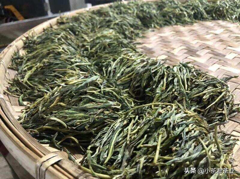 如何选普洱生茶熟茶