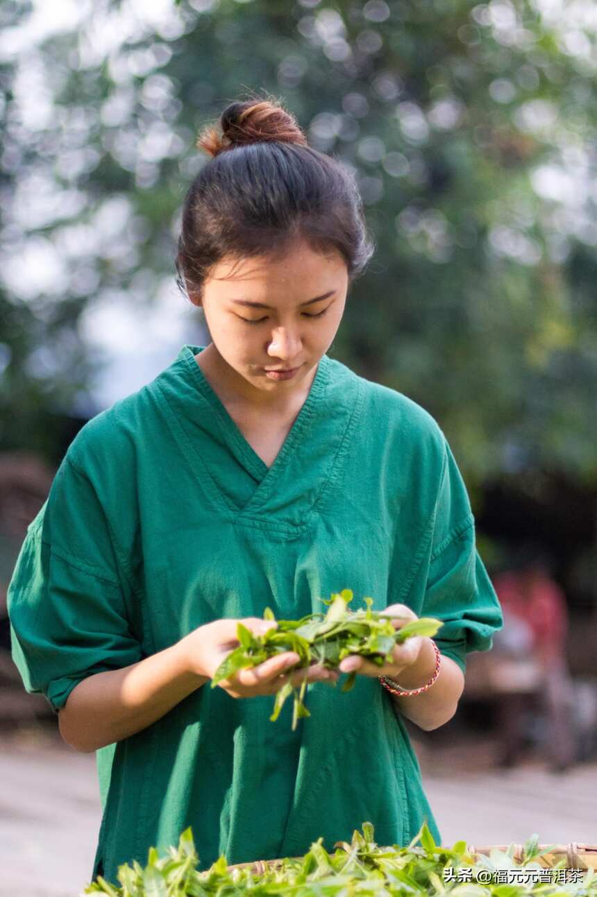 茶知识｜茶叶耐不耐泡，耐泡度跟这些有关