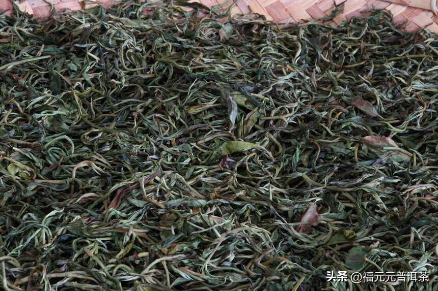 勐海、版纳、临沧普洱茶三大茶区的区别
