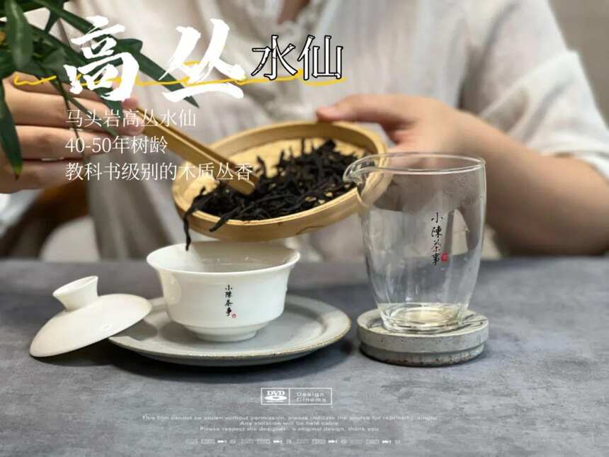 教科书级的木质丛香，这款马头岩高丛水仙，可以成为丛香的学习包