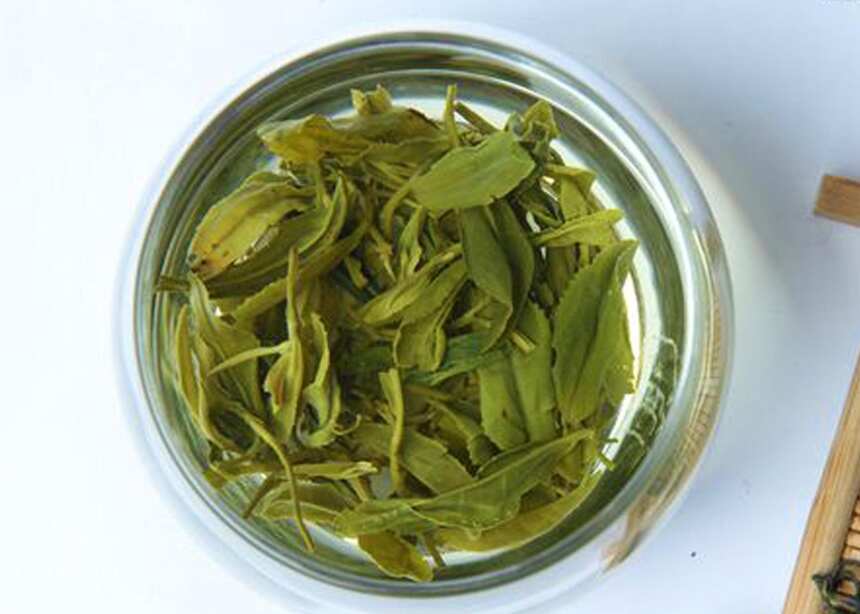 伍刻茶｜二十期——好山好水伴好茶，中国最北方的茗茶，日照绿茶