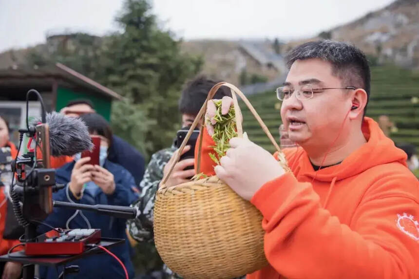 疫情激发直播热，各茶区应对有妙招