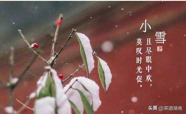 节气｜小雪，等一场雪，煮一冬茶