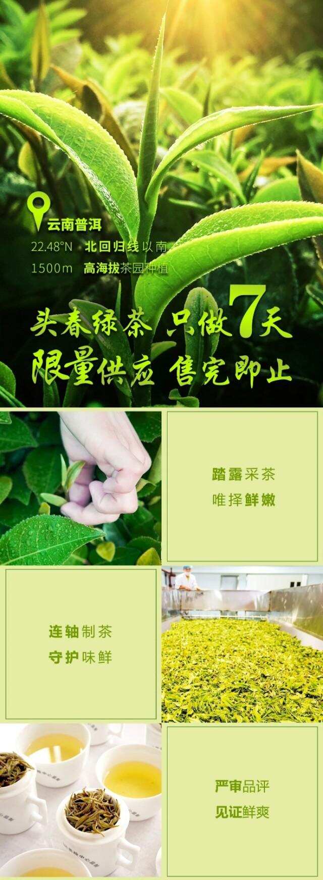 每年只做天的头春绿茶，如而至！