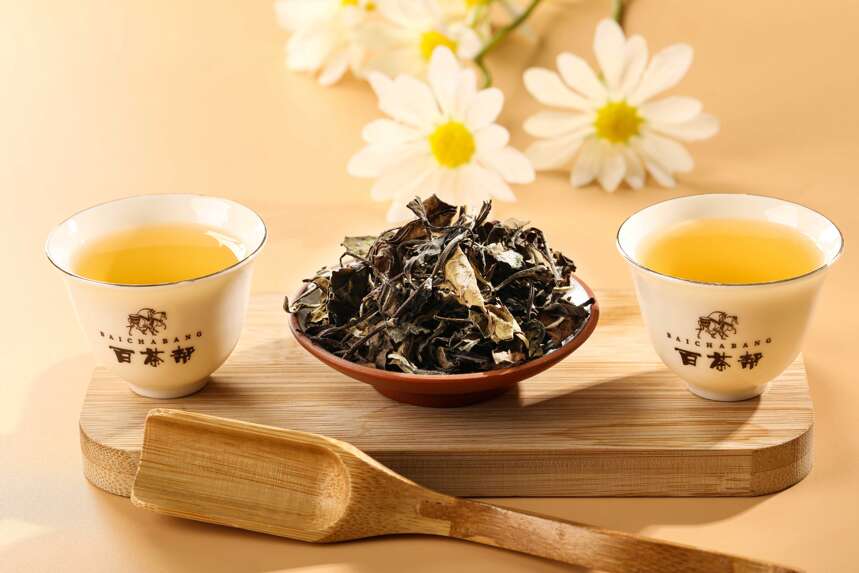 百茶邦告诉你煮老白茶为什么不能直接用冷水煮干茶