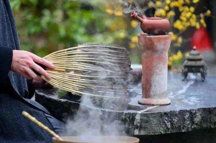 冬天怎么煮老白茶？看了就会操作的实用“煮茶攻略”→