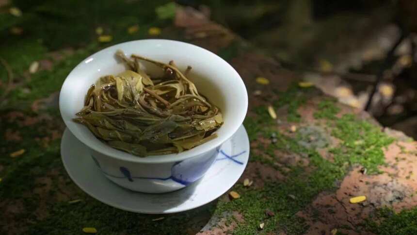 茶，审美的宗教