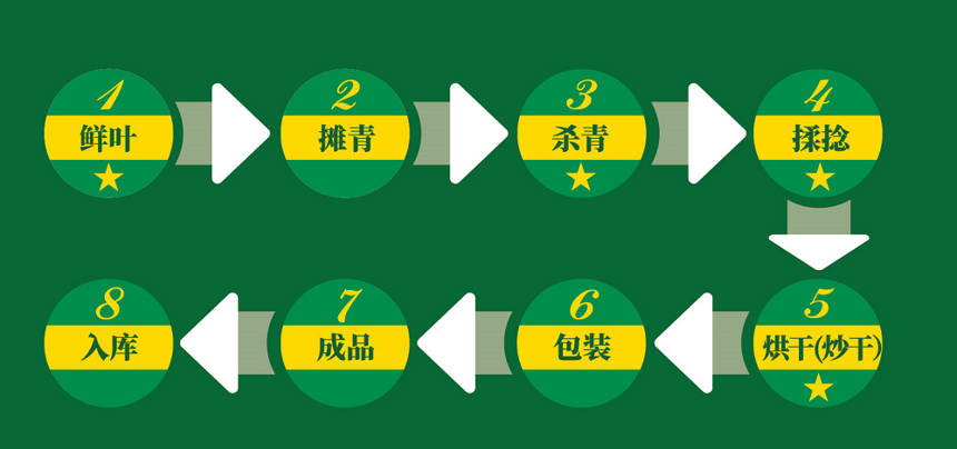 中国六大茶系：喝茶入门，简单易懂，养生科普