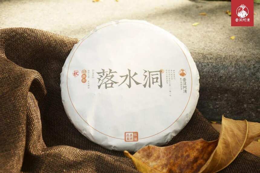 举世闻名的易武茶，究竟有何魅力？