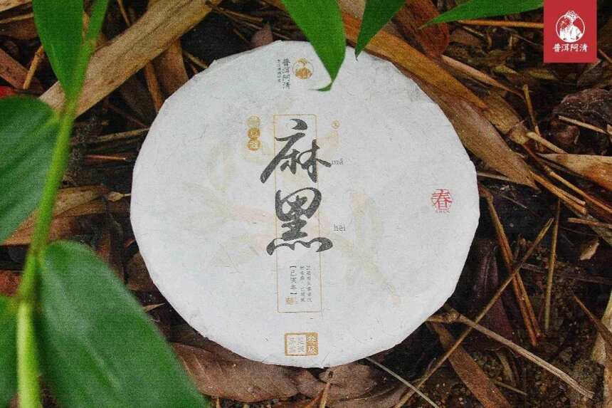 举世闻名的易武茶，究竟有何魅力？