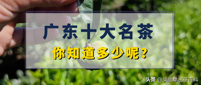 你知道，广东的十大名茶有哪些吗？