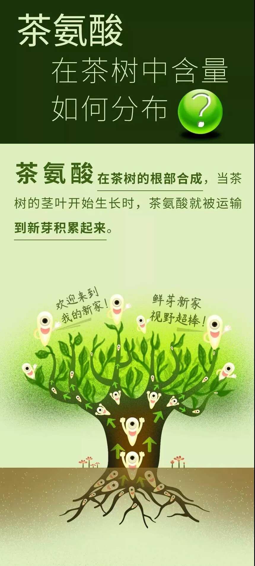 [帝泊洱大讲堂]  帝泊洱茶珍——补充你的快乐因子！