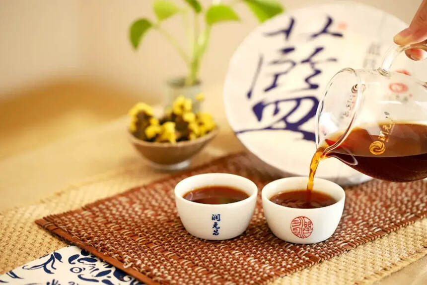 熟茶篇｜从普洱茶国标学普洱新茶品鉴