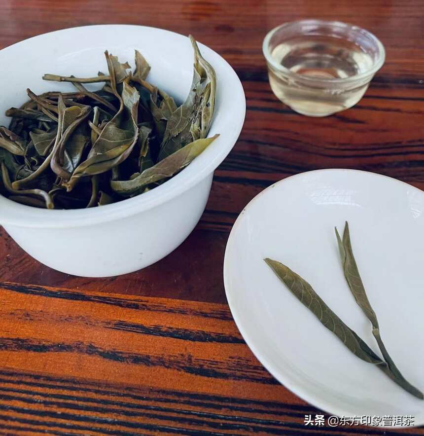 寻茶季 |茶叶江山，班章不出谁与争锋