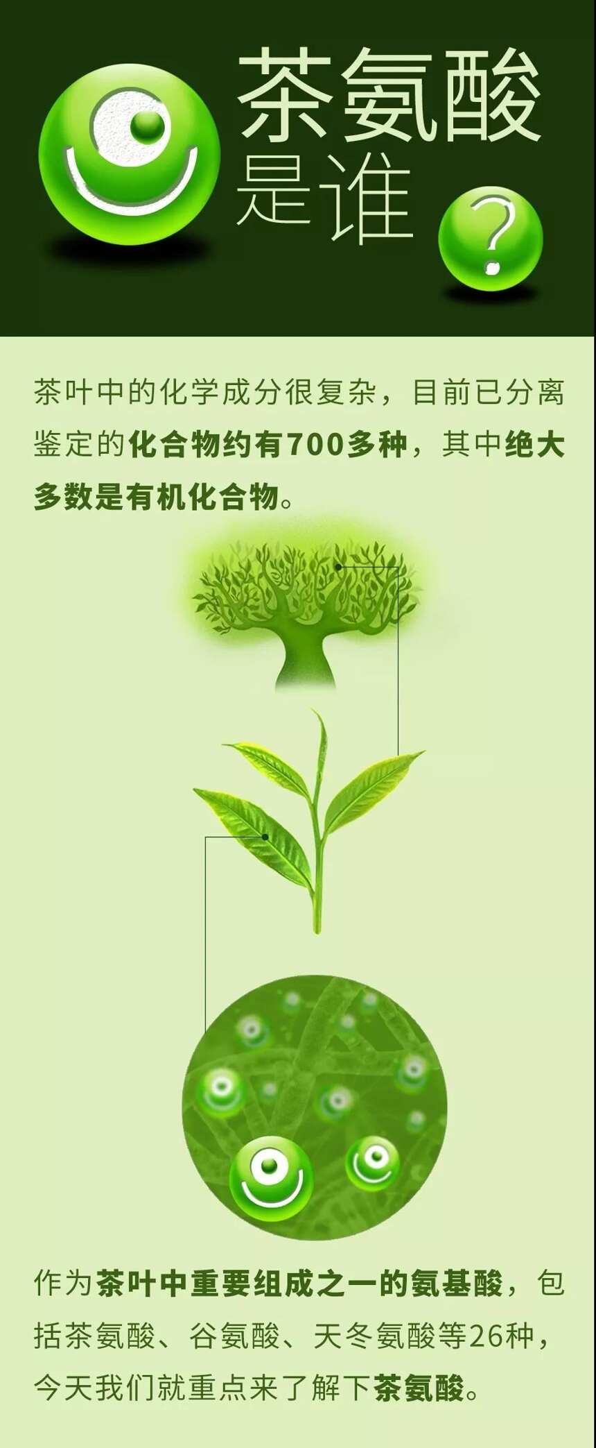 [帝泊洱大讲堂]  帝泊洱茶珍——补充你的快乐因子！