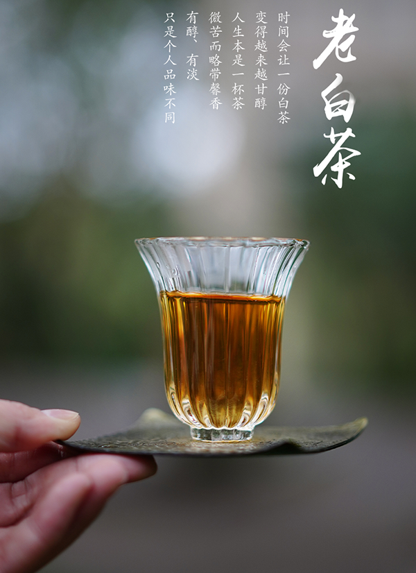 福鼎白茶好还是云南白茶好？