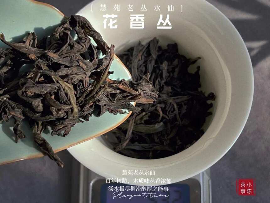 斗茶赛，斗得真是茶吗？