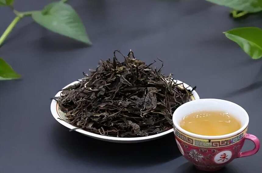 普洱茶生茶和熟茶哪个好