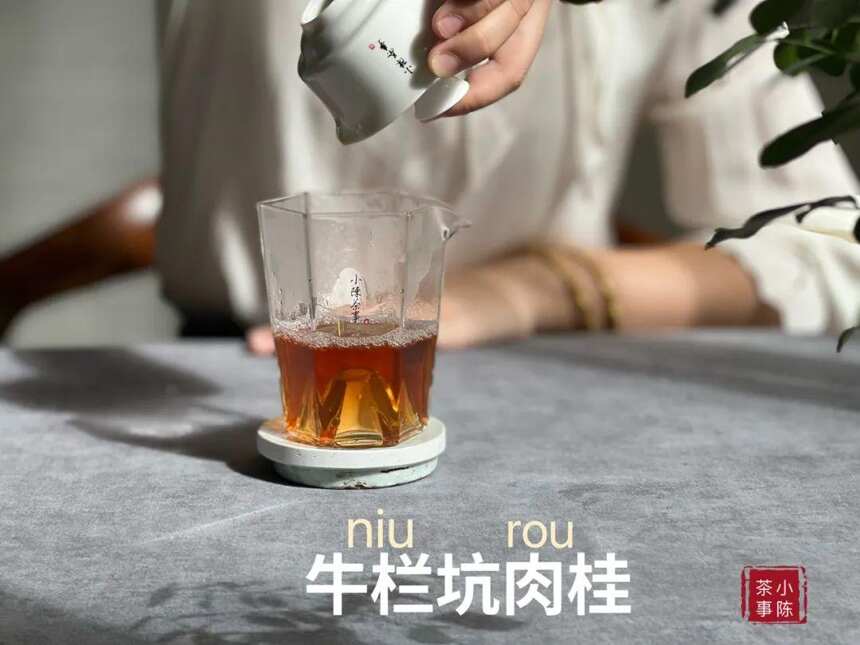 斗茶赛，斗得真是茶吗？