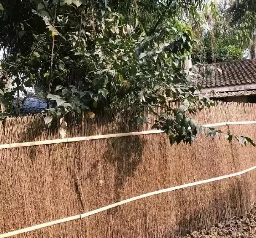 成都「 入雲屋 」茶室