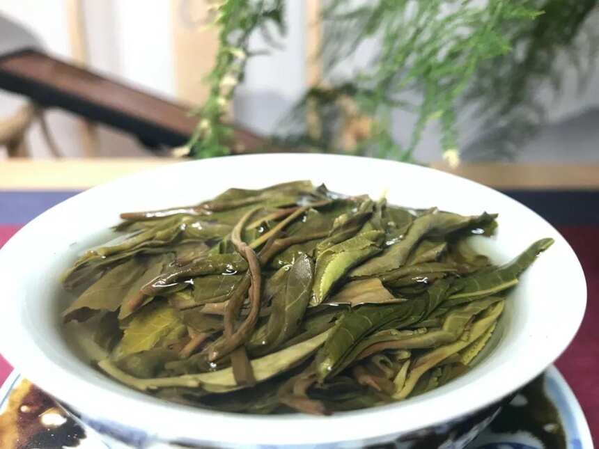 决定古树普洱茶耐泡的因素是什么？