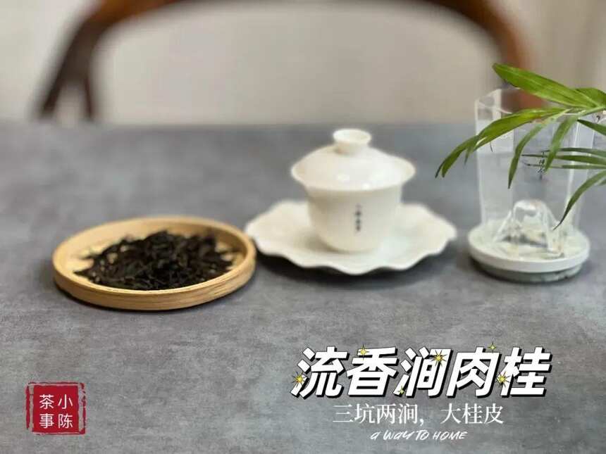 一份岩茶冲泡指南，随随便便挖出个“大坑”，全是基础错误