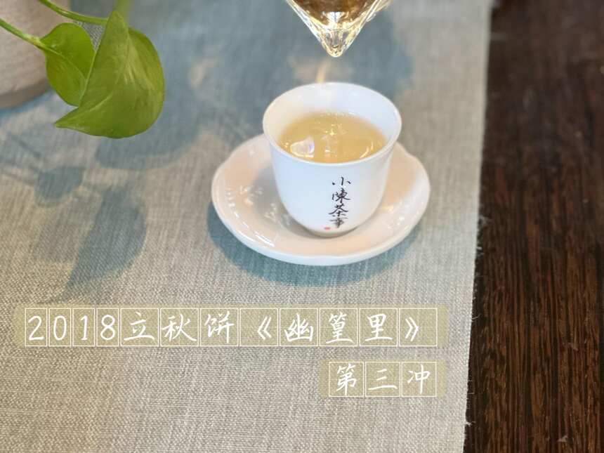 煮茶半小时，叶片没烂、茶汤不苦，这样的寿眉白茶藏着哪些坑？