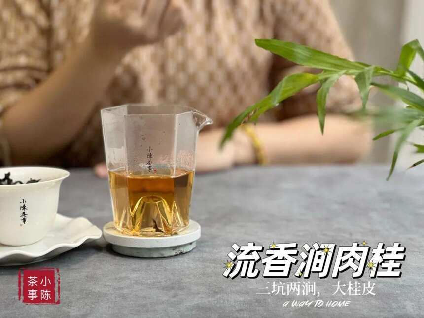 一份岩茶冲泡指南，随随便便挖出个“大坑”，全是基础错误