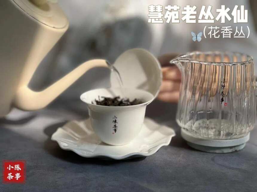 一份岩茶冲泡指南，随随便便挖出个“大坑”，全是基础错误