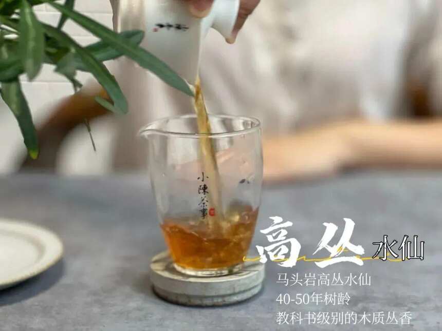 喝武夷岩茶时，为什么总有人爱喝“木本味”的尾水？是更好喝吗？