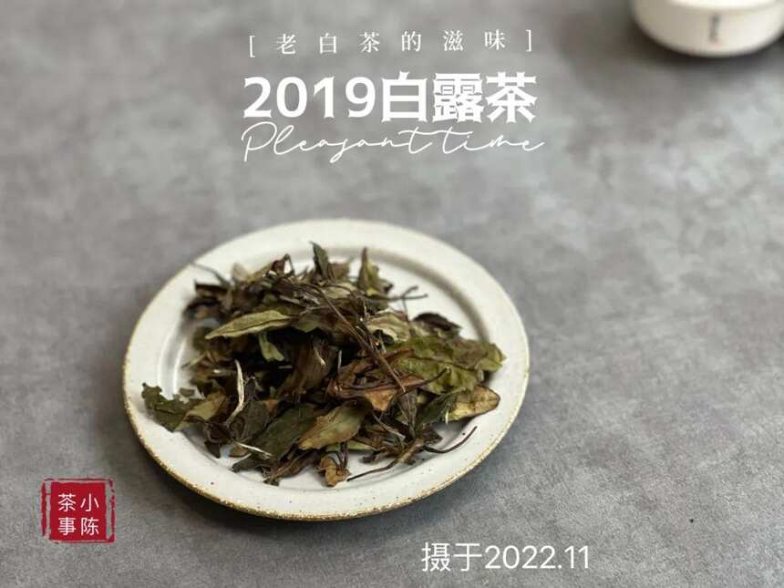 年陈白露白茶，作旧老白茶专属参照物，比它差的都不能算老白茶