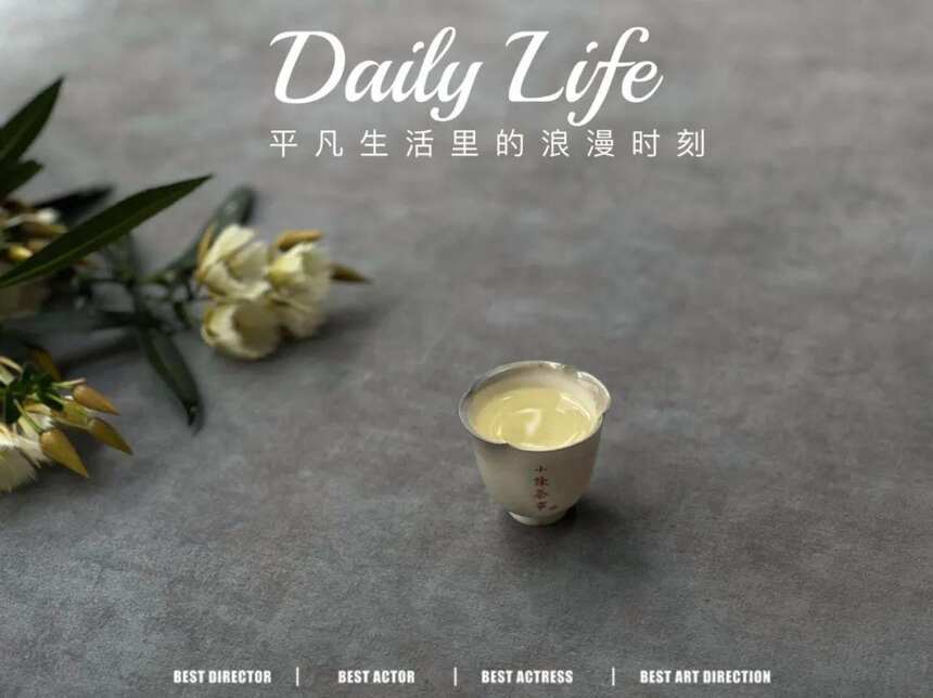 老白茶的种分类方法，教你看懂好茶与烂茶的区别，真的很不一样