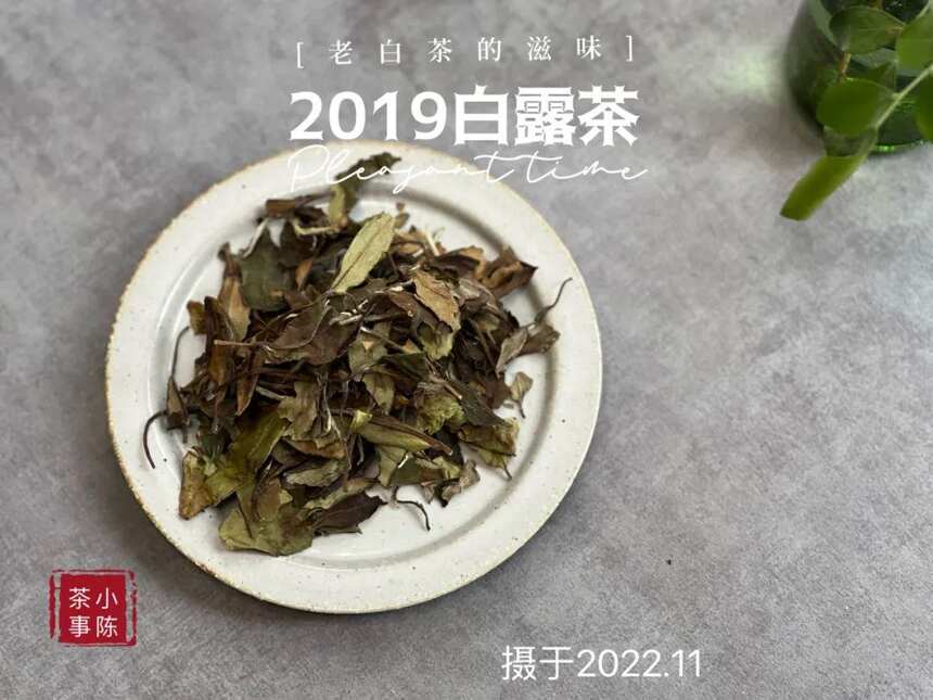 年陈白露白茶，作旧老白茶专属参照物，比它差的都不能算老白茶