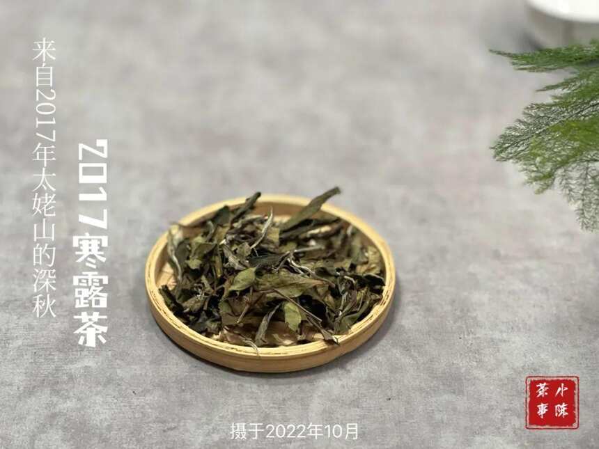 自来水、矿泉水、纯净水，哪一个更适合泡茶？看看你喝对了吗？