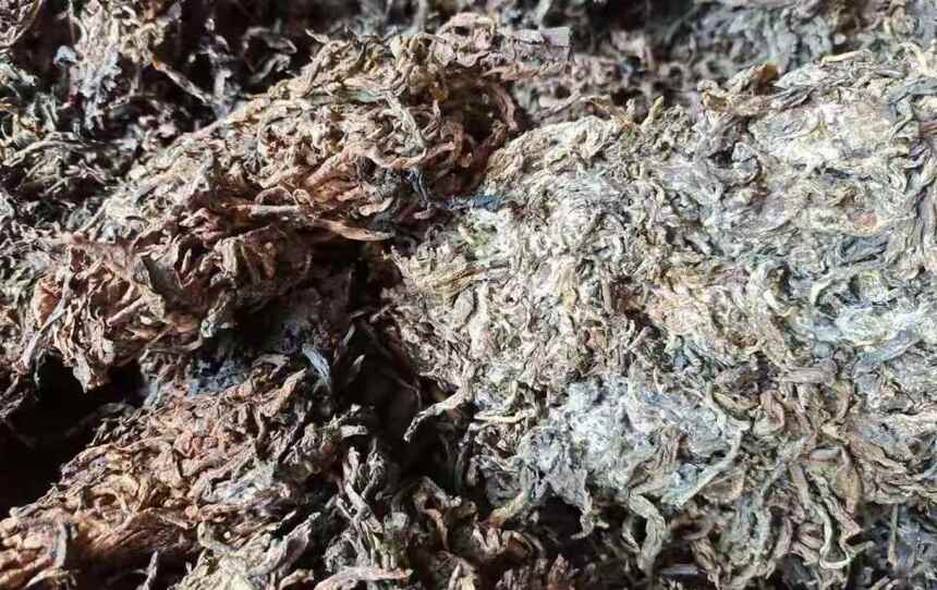 老茶痴的疑惑：普洱茶年产16.2万吨，找一饼好熟茶为何那么难？