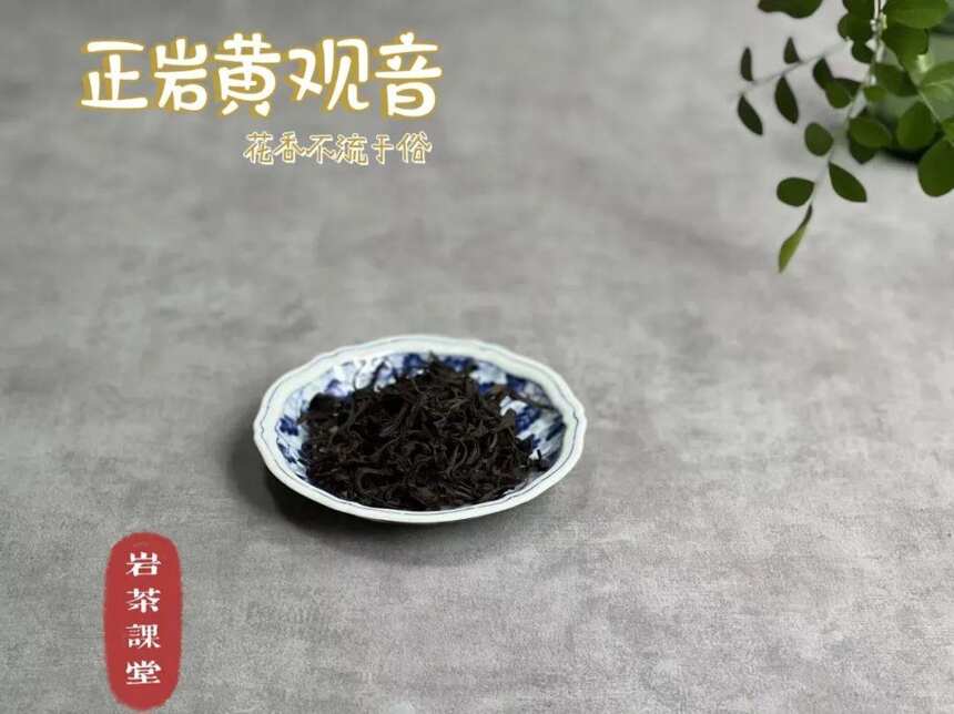 黄玫瑰、金牡丹、奇兰，冬天到了，还适合喝轻火岩茶吗？