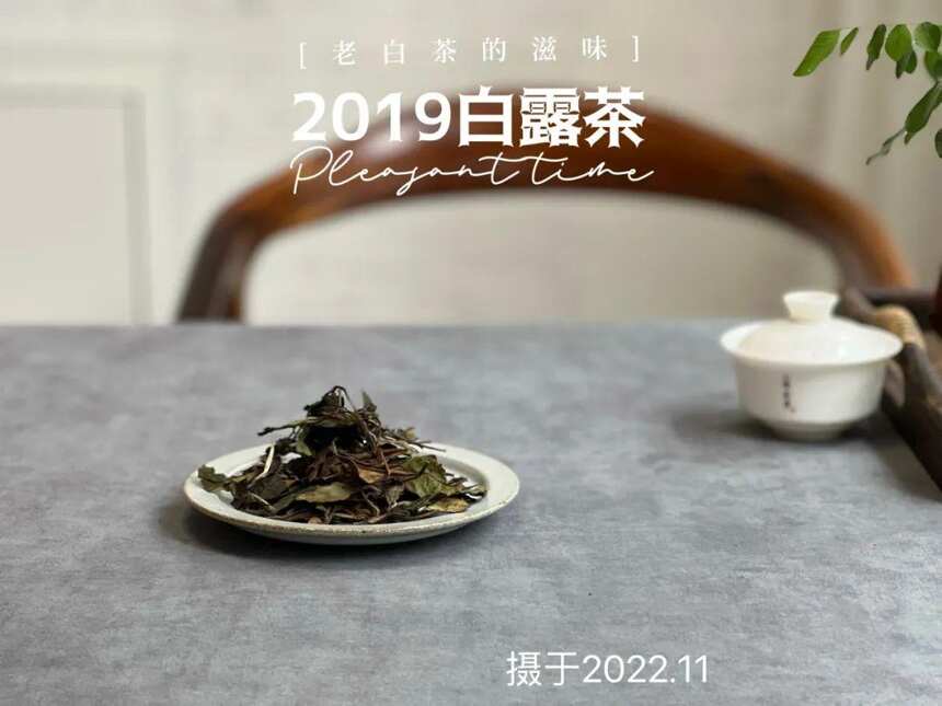 年陈白露白茶，作旧老白茶专属参照物，比它差的都不能算老白茶