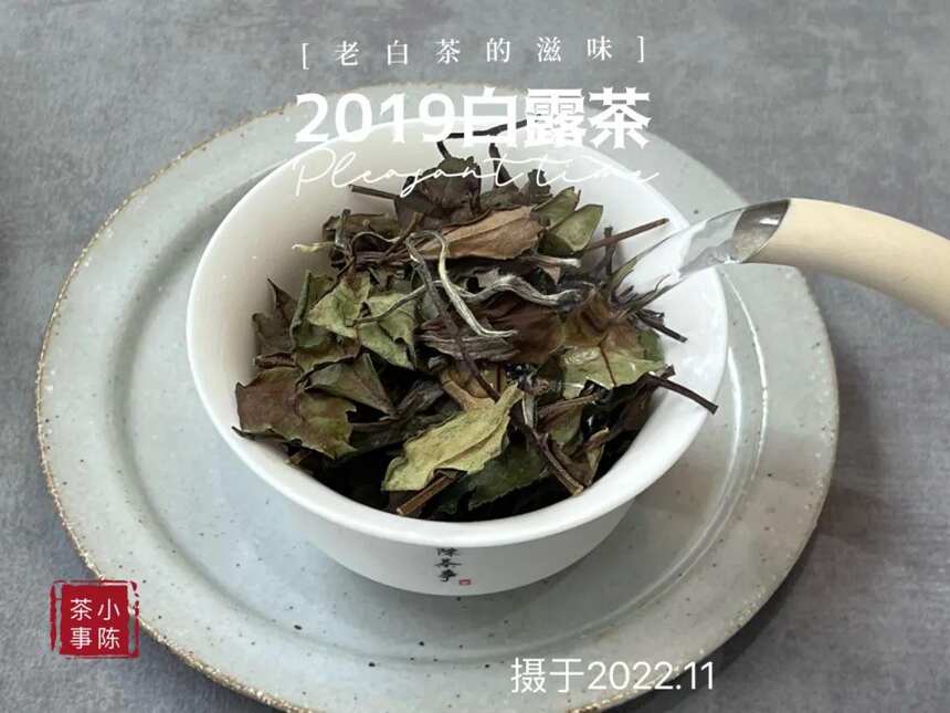 年陈白露白茶，作旧老白茶专属参照物，比它差的都不能算老白茶