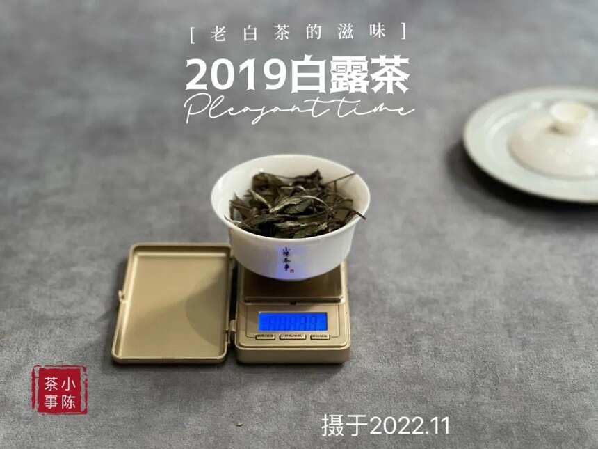 年陈白露白茶，作旧老白茶专属参照物，比它差的都不能算老白茶